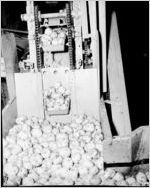 Gordon Potato Chips factory (image 2 of 5)