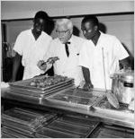 Davis House Kentucky Fried Chicken (image 2 of 5)
