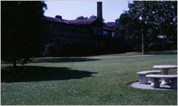 Lawn scene, 1966
