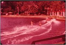 Florida (?) scene, 1966