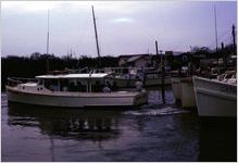 Florida scene, 1963