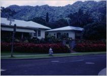 Hawaii scene