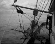 Shrimp trawling off of the coast of Savannah, Georgia, 1944