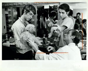 Atlanta Memorial Arts Center, Dancers Play with Poodles Backstage, November 18, 1968