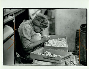 Atlanta Municipal Market, Vendor Shells Peas to Sell, July 27, 1978