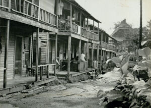 Bedford Pine, Dilapidated Housing on Chestnut Way, July 25, 1955