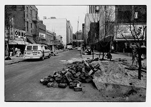Trees in the process on being planted on Broad Street, November 14, 1980