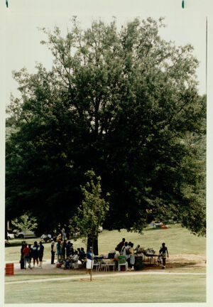 A crowd gathering in Phoenix Park for the 4th Annual Summerhill Neighborhood Reunion, June 17, 1991