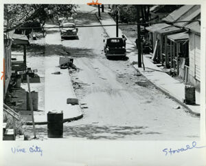 Vine City Blight, Volunteers Aim to Make the Area Cleaner, April 28, 1969