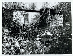 Plunkett Town #5