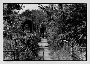 A Techwood Homes resident walking in an area with overgrown weeds, undated