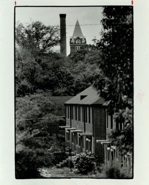 Planners Intend to Retain Hundreds of Trees in Transforming Techwood, October 21, 1991