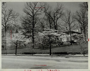 The Heinz Home, March 7, 1976