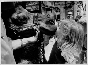 Sarah Hix kisses 'Sir Gus' at the Midtown Connection, April 5, 1982