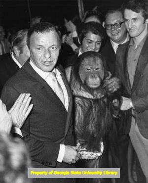 Frank Sinatra and orangutan