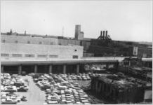 Site for Georgia State University Library