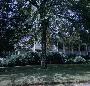Carter's Quarters