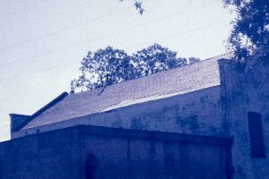 Adam Strain Building