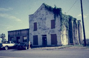 Adam Strain Building