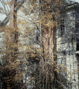 Trammell House
