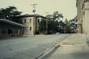 Hand Trading Company