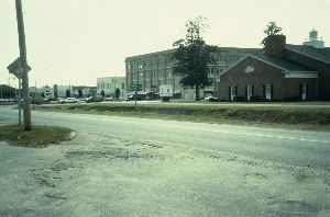 Hand Trading Company