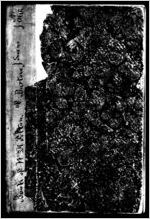 Dr. Felton's papers (3 of 3)