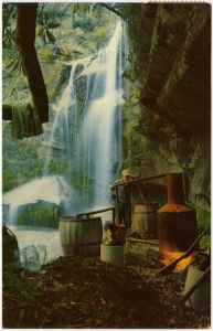 Forbes, Stanton W. - Writer, artist - Folder 7, 1978-1979