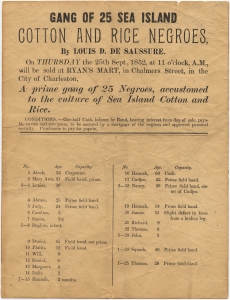 Gang of 25 Sea Island Cotton and Rice Negroes by Louis D. De Saussure... will be sold at Ryan's Mart in Chalmers Street in the City of Charleston