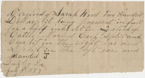 Dooly County - Receipt - Sarah Wood, for cattle interest