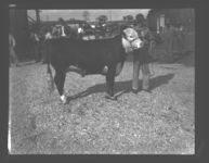 Cattle Show Sales.