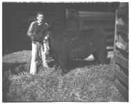 Georgia Cattle Show Sales - Columbus show sale
