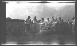 Cotton demonstration and tours.