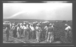 Cotton demonstration and tours.