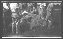 Cotton demonstration and tours.