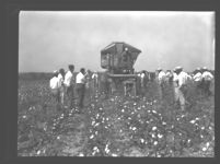 Cotton picking demonstration near Ideal.