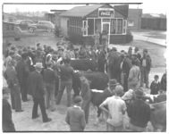 Georgia Cattle show sales: Demonstration