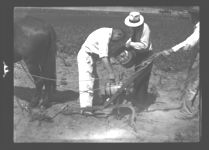 Fertilizer tests at experiment station