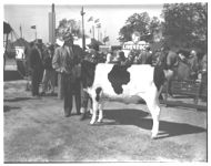 Agricultural Fair