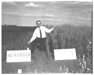 Effects of nitrogen on oats. College Experiment Station.