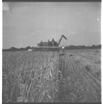 Harvesting wheat in Oconee Co.