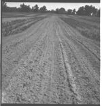 Bill Prichard's farm.