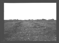 Haying and haying methods on Mr. Paul Burson's farm.