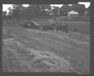 Carting and loading alfalfa hay on Asbury Wilson farm.