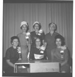 Officers and District Chairman, State Home Demonstration Council, 1964