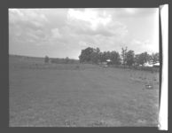 Experimental Grass Plots.