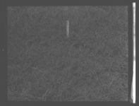 Experimental Grass Plots.
