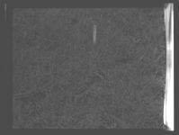 Experimental Grass Plots.