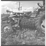 Lima Bean and Pea Pickers in Operation (Frank Cates)