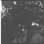 Muscadine Grape Production